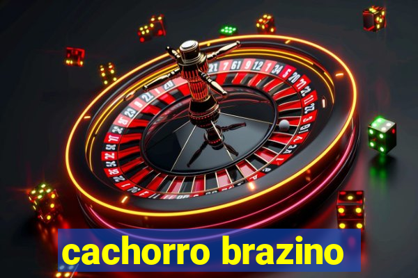 cachorro brazino